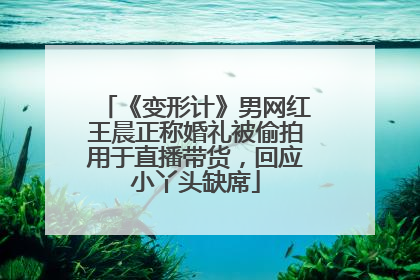 《变形计》男网红王晨正称婚礼被偷拍用于直播带货，回应小丫头缺席