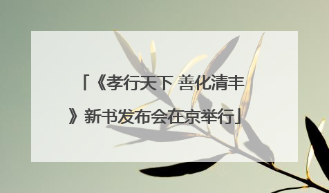 《孝行天下 善化清丰》新书发布会在京举行