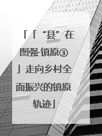 「“县”在图强·镇原③」走向乡村全面振兴的镇原轨迹