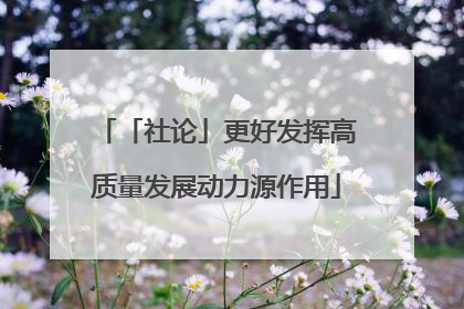「社论」更好发挥高质量发展动力源作用