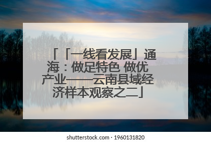 「一线看发展」通海：做足特色 做优产业——云南县域经济样本观察之二