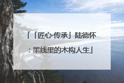 「匠心·传承」陆德怀：墨线里的木构人生