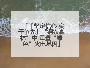 「坚定信心 实干争先」“钢铁森林”中 重塑“绿色”火电基因
