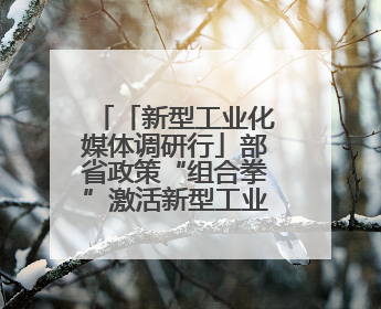 「新型工业化媒体调研行」部省政策“组合拳”激活新型工业化华东样板