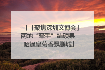 「聚焦深圳文博会」两地“牵手”结硕果 昭通皇菊香飘鹏城