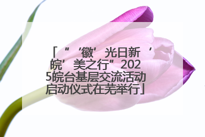 “‘徽’光日新‘皖’美之行”2025皖台基层交流活动启动仪式在芜举行