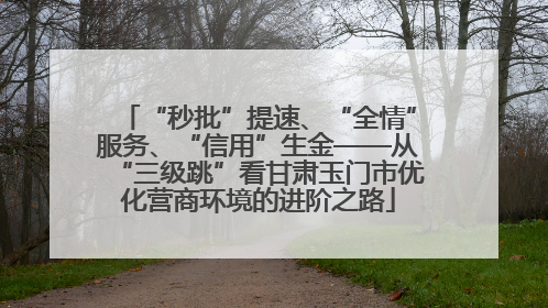 “秒批”提速、“全情”服务、“信用”生金——从“三级跳”看甘肃玉门市优化营商环境的进阶之路