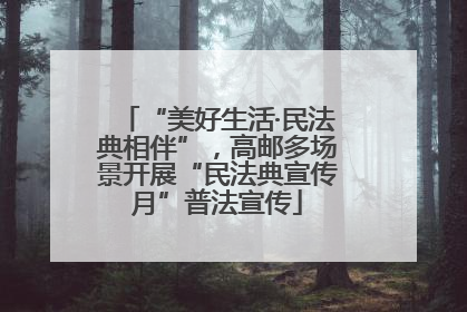 “美好生活·民法典相伴”，高邮多场景开展“民法典宣传月”普法宣传
