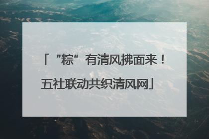 “粽”有清风拂面来！五社联动共织清风网