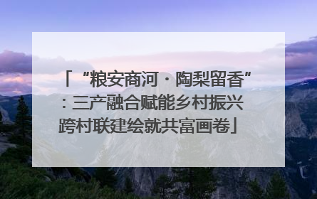 “粮安商河・陶梨留香”：三产融合赋能乡村振兴 跨村联建绘就共富画卷