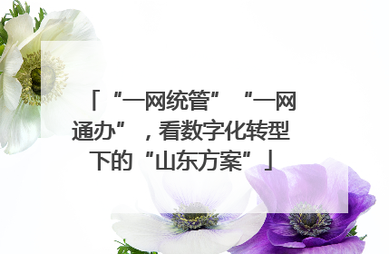 “一网统管”“一网通办”，看数字化转型下的“山东方案”