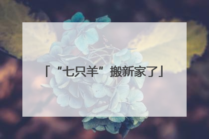 “七只羊”搬新家了