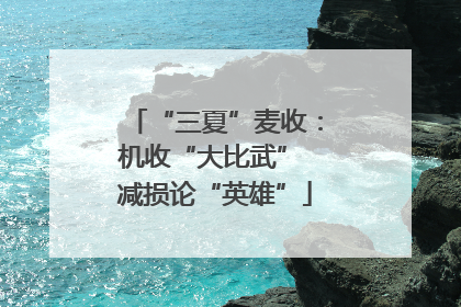 “三夏”麦收：机收“大比武” 减损论“英雄”