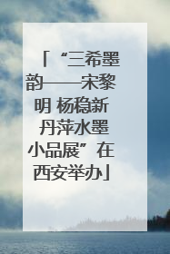 “三希墨韵——宋黎明 杨稳新 丹萍水墨小品展”在西安举办
