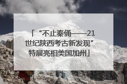 “不止秦俑——21世纪陕西考古新发现”特展亮相美国加州