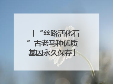“丝路活化石”古老马种优质基因永久保存