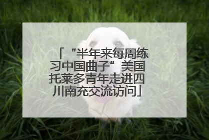 “半年来每周练习中国曲子”美国托莱多青年走进四川南充交流访问