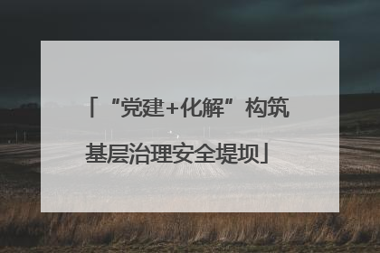 “党建+化解”构筑基层治理安全堤坝