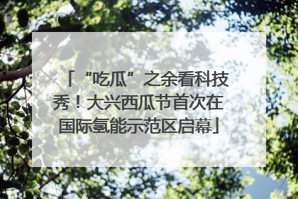 “吃瓜”之余看科技秀！大兴西瓜节首次在国际氢能示范区启幕