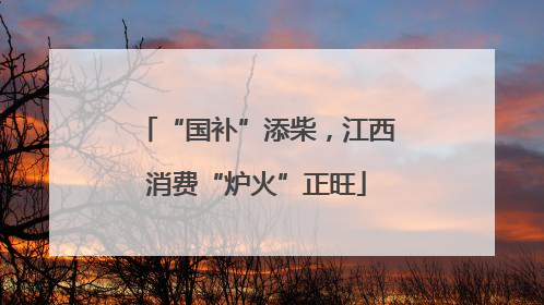 “国补”添柴，江西消费“炉火”正旺