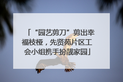 “园艺剪刀”剪出幸福枝桠，先贤苑片区工会小组携手扮靓家园