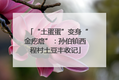 “土蛋蛋”变身“金疙瘩”：孙伯镇西程村土豆丰收记