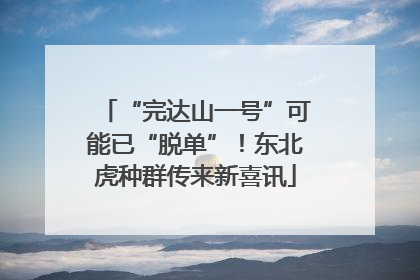 “完达山一号”可能已“脱单”！东北虎种群传来新喜讯