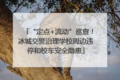 “定点+流动”巡查！冰城交警治理学校周边违停和校车安全隐患