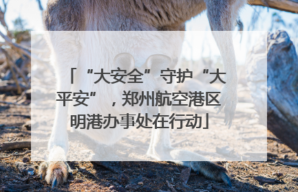“大安全”守护“大平安”，郑州航空港区明港办事处在行动