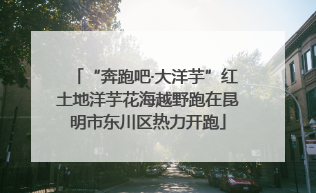 “奔跑吧·大洋芋”红土地洋芋花海越野跑在昆明市东川区热力开跑