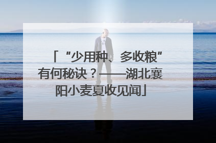 “少用种、多收粮”有何秘诀？——湖北襄阳小麦夏收见闻