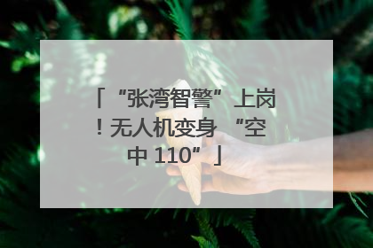 “张湾智警”上岗！无人机变身 “空中 110”