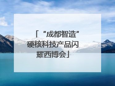 “成都智造”硬核科技产品闪耀西博会
