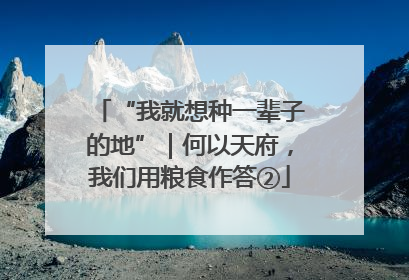 “我就想种一辈子的地”｜何以天府，我们用粮食作答②