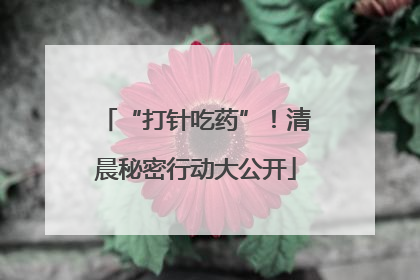 “打针吃药”！清晨秘密行动大公开