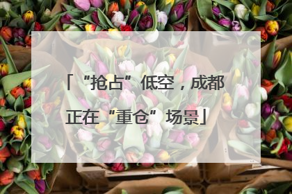 “抢占”低空，成都正在“重仓”场景