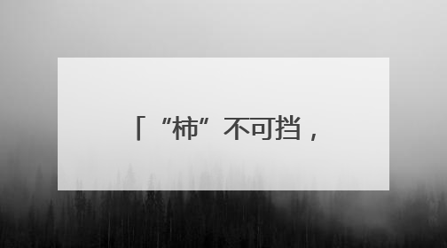 “柿”不可挡，“粽”望所归！徐汇校园用仪式感为少年们“充能”