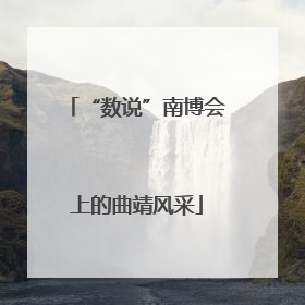 “数说”南博会上的曲靖风采