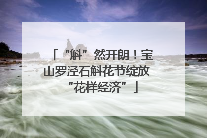 “斛”然开朗！宝山罗泾石斛花节绽放“花样经济”