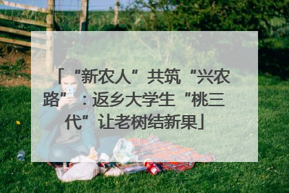 “新农人”共筑“兴农路”：返乡大学生“桃三代”让老树结新果