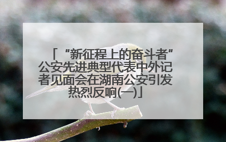 “新征程上的奋斗者”公安先进典型代表中外记者见面会在湖南公安引发热烈反响(一)