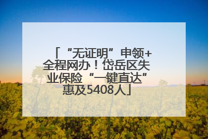 “无证明”申领+全程网办！岱岳区失业保险“一键直达”惠及5408人
