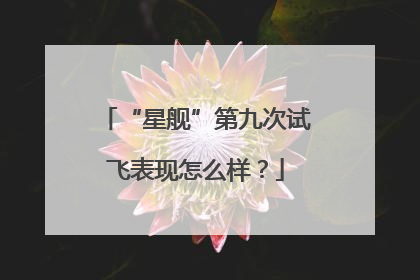 “星舰”第九次试飞表现怎么样？