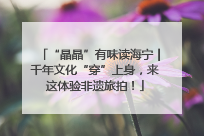 “晶晶”有味读海宁｜千年文化“穿”上身，来这体验非遗旅拍！