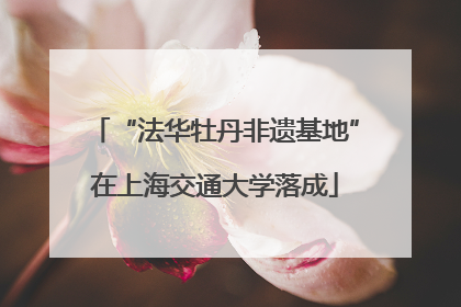 “法华牡丹非遗基地”在上海交通大学落成
