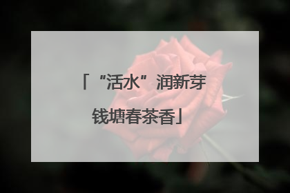 “活水”润新芽 钱塘春茶香