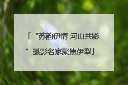 “苏韵伊情 河山共影”摄影名家聚焦伊犁