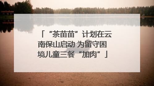 “茶苗苗”计划在云南保山启动 为留守困境儿童三餐“加肉”