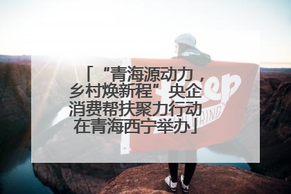 “青海源动力，乡村焕新程”央企消费帮扶聚力行动在青海西宁举办
