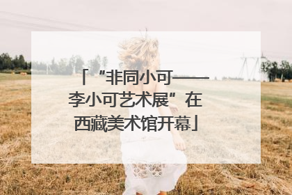 “非同小可——李小可艺术展”在西藏美术馆开幕